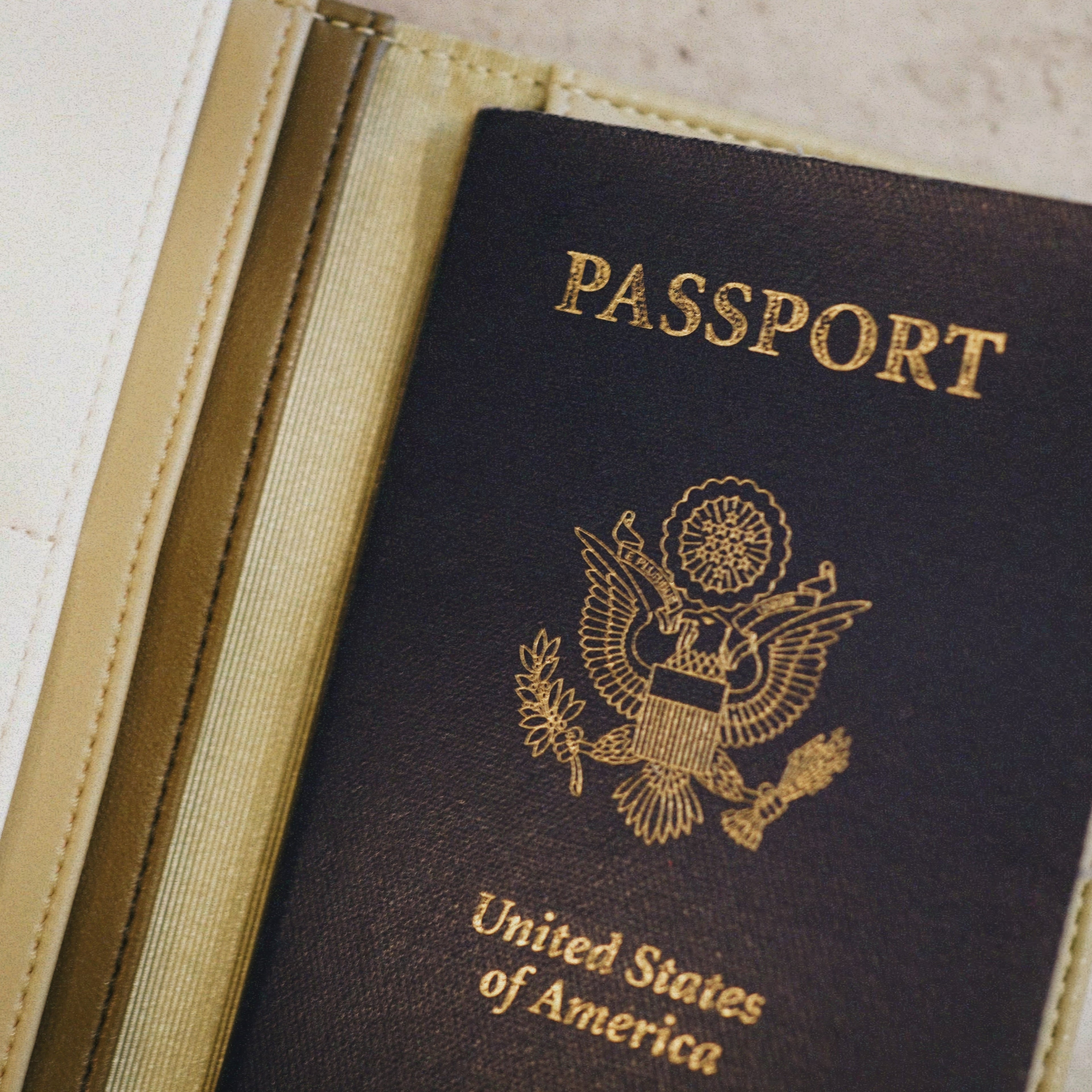 【予約販売】碧"Aoi"